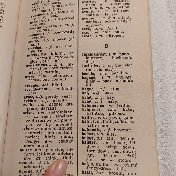 Websters french English  English French Dictionary - Picture 4 of 6